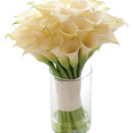 bouquet di calle