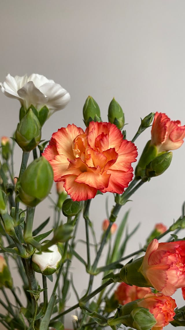 fiori per funerale e condoglianze